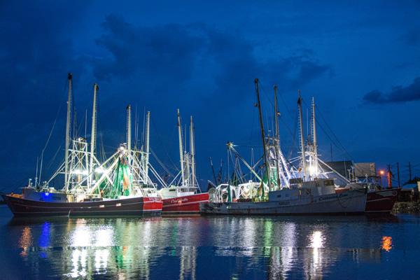 Beaufort Shrimp Boats